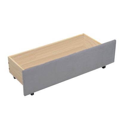 Tano Twin Size Upholstered Daybed with Drawers - Gray