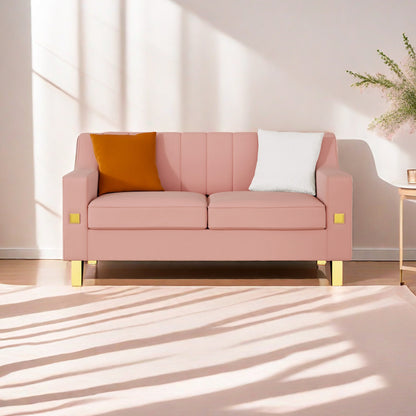 Fexa Velvet Loveseat Sofa - Pink