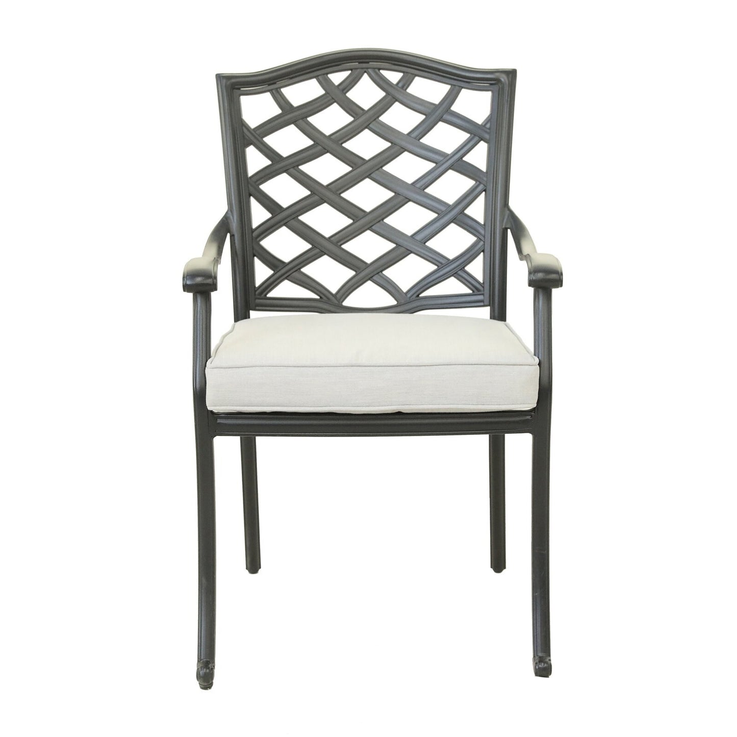 Rosita Patio Dining Arm Chair (Set of 2) - Silver