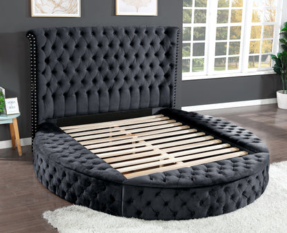 Hazel Queen Size Tufted Storage Bed - Black