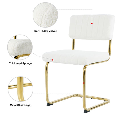 Ezell Dining Chairs with Gold Metal Leg (Set of 2) - White