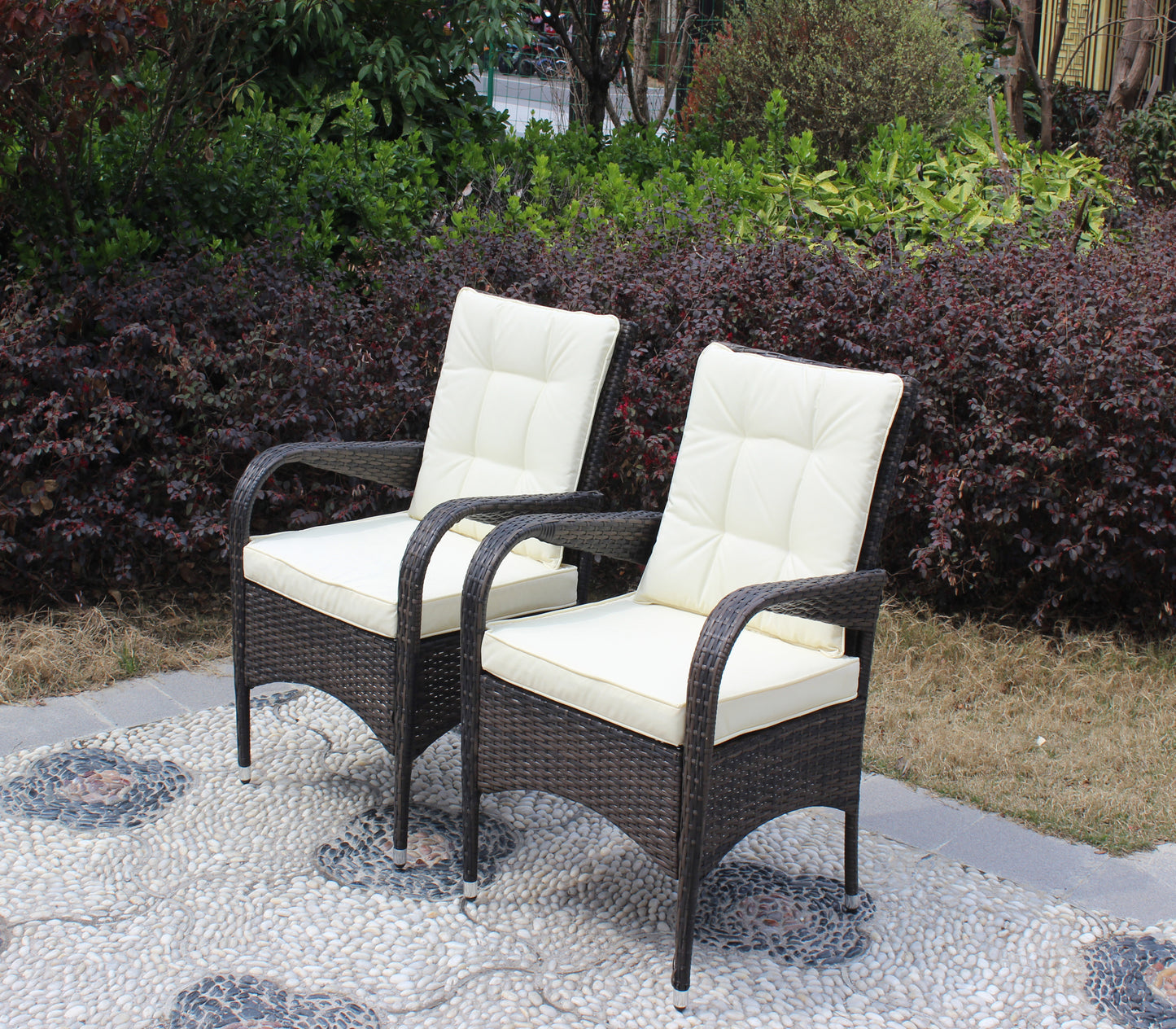 Johan Liberatore Dining Chairs with Cushions (Set of 2)