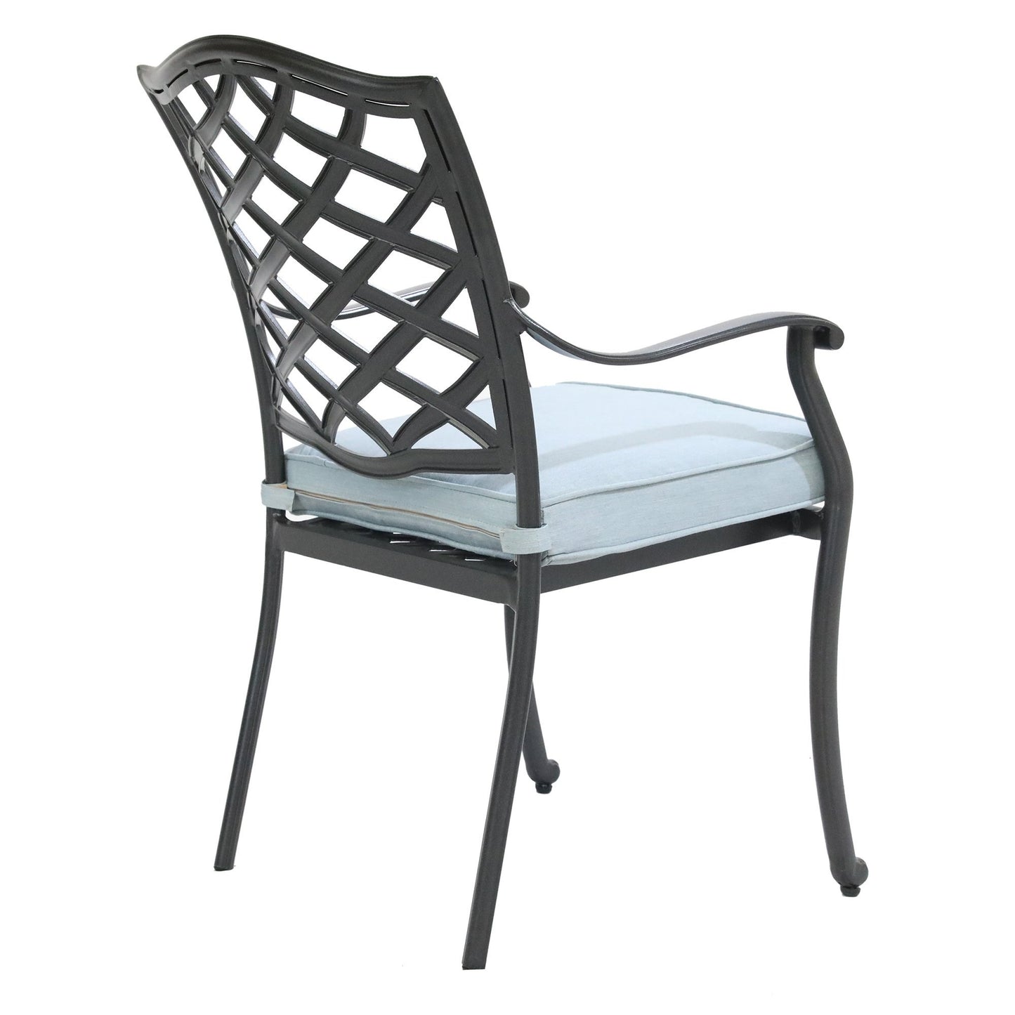 Rosita Patio Dining Arm Chair (Set of 2) - Light Blue