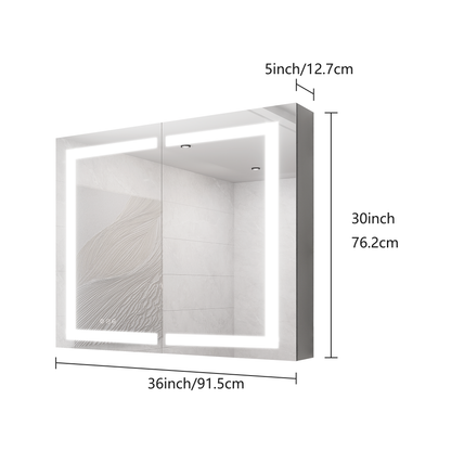 Brite Medicine Cabinet with LED Vanity Mirror