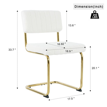 Ezell Dining Chairs with Gold Metal Leg (Set of 2) - White