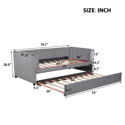 Tano Twin Size Upholstered Daybed with Trundle - Gray