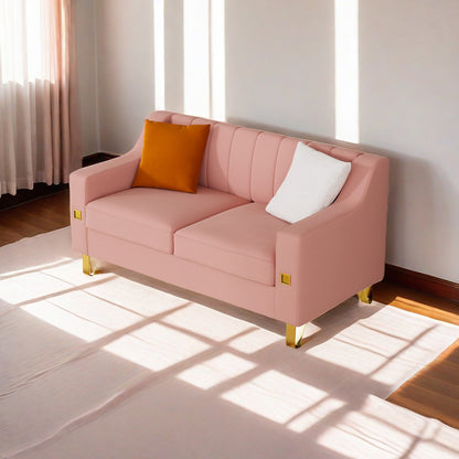 Fexa Velvet Loveseat Sofa - Pink