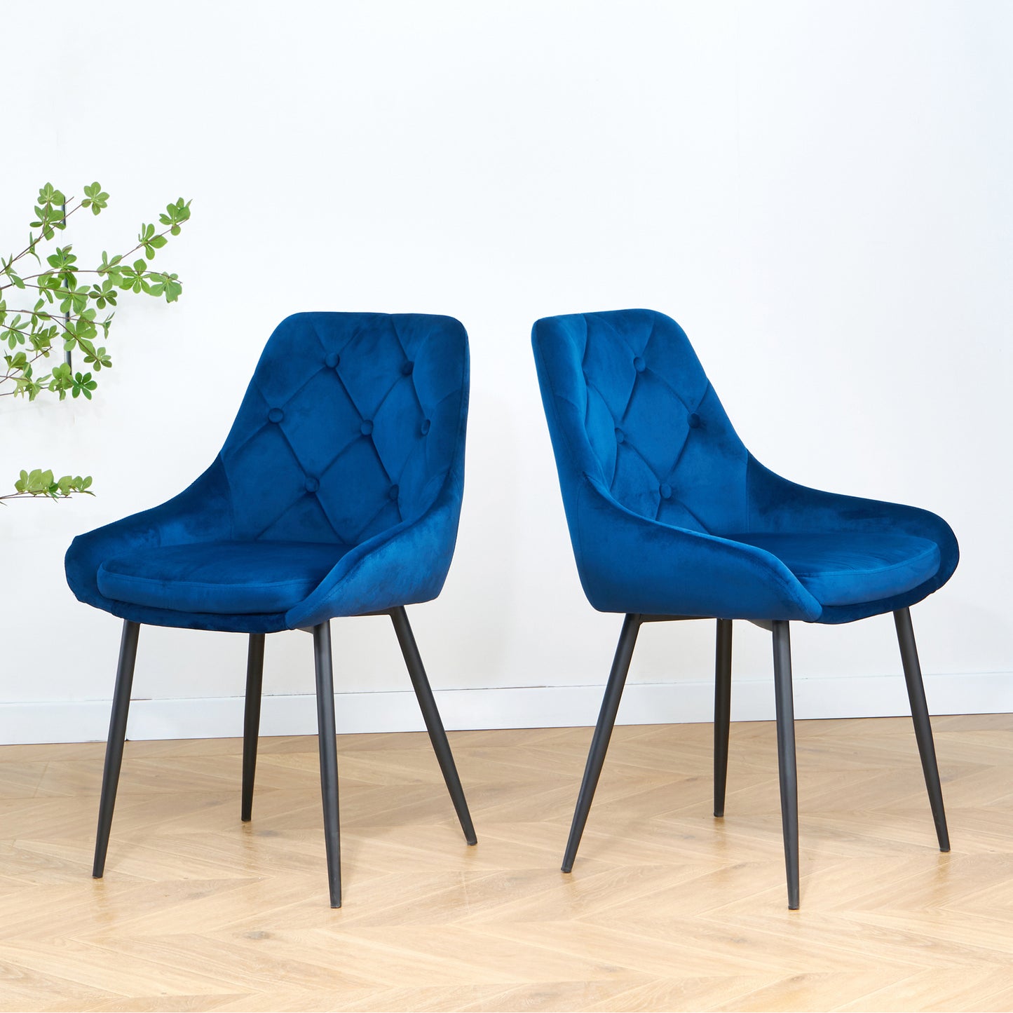 Sheron Velvet Dining Chairs (Set of 2) - Blue