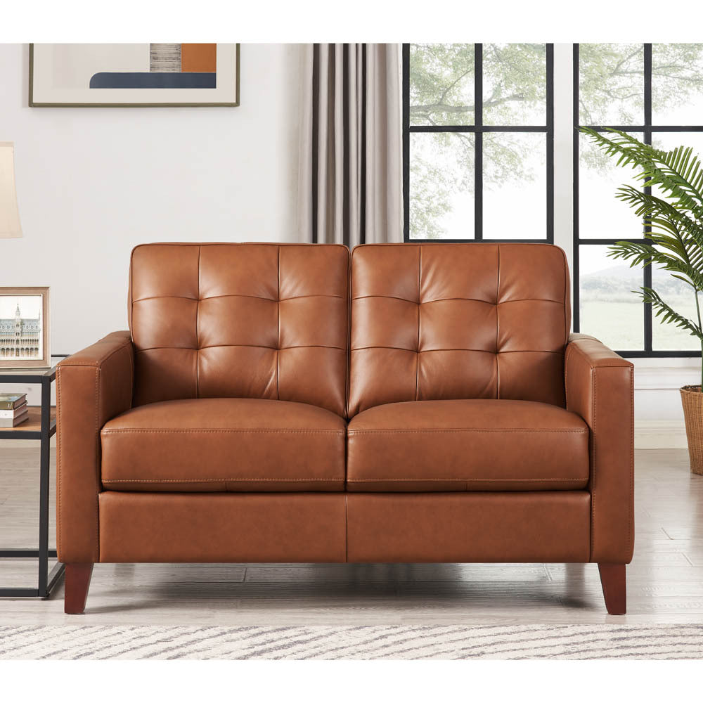 Aiden Leather Loveseat