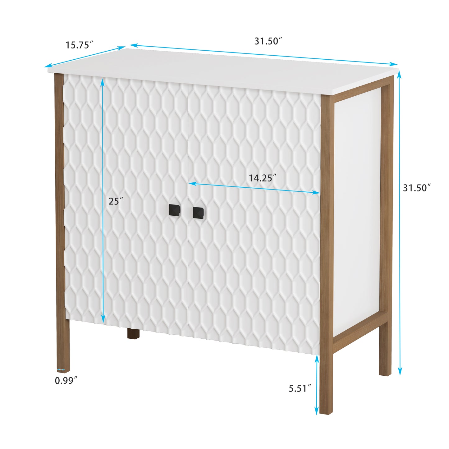 Mason Modern 2 Door Wooden Cabinet