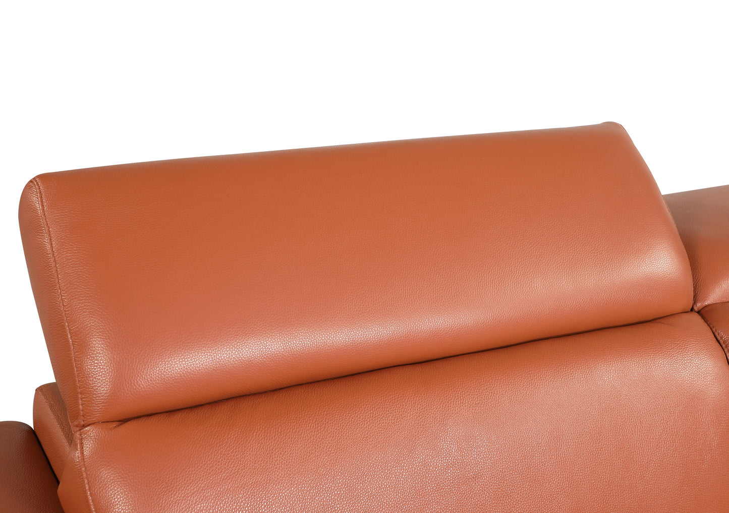 Denzel Top Grain Italian Leather Loveseat - Camel