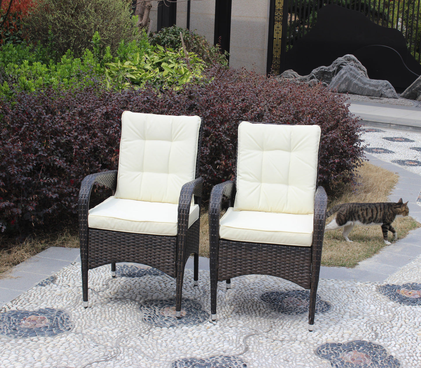 Johan Liberatore Dining Chairs with Cushions (Set of 2)