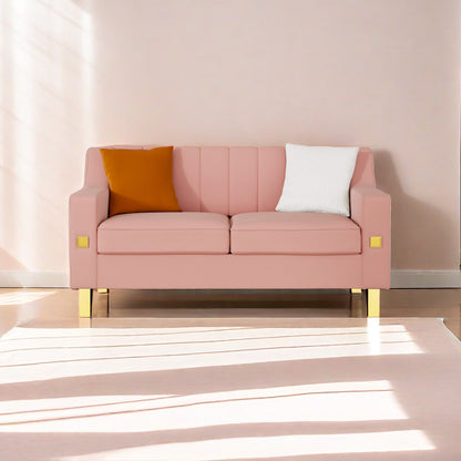 Fexa Velvet Loveseat Sofa - Pink