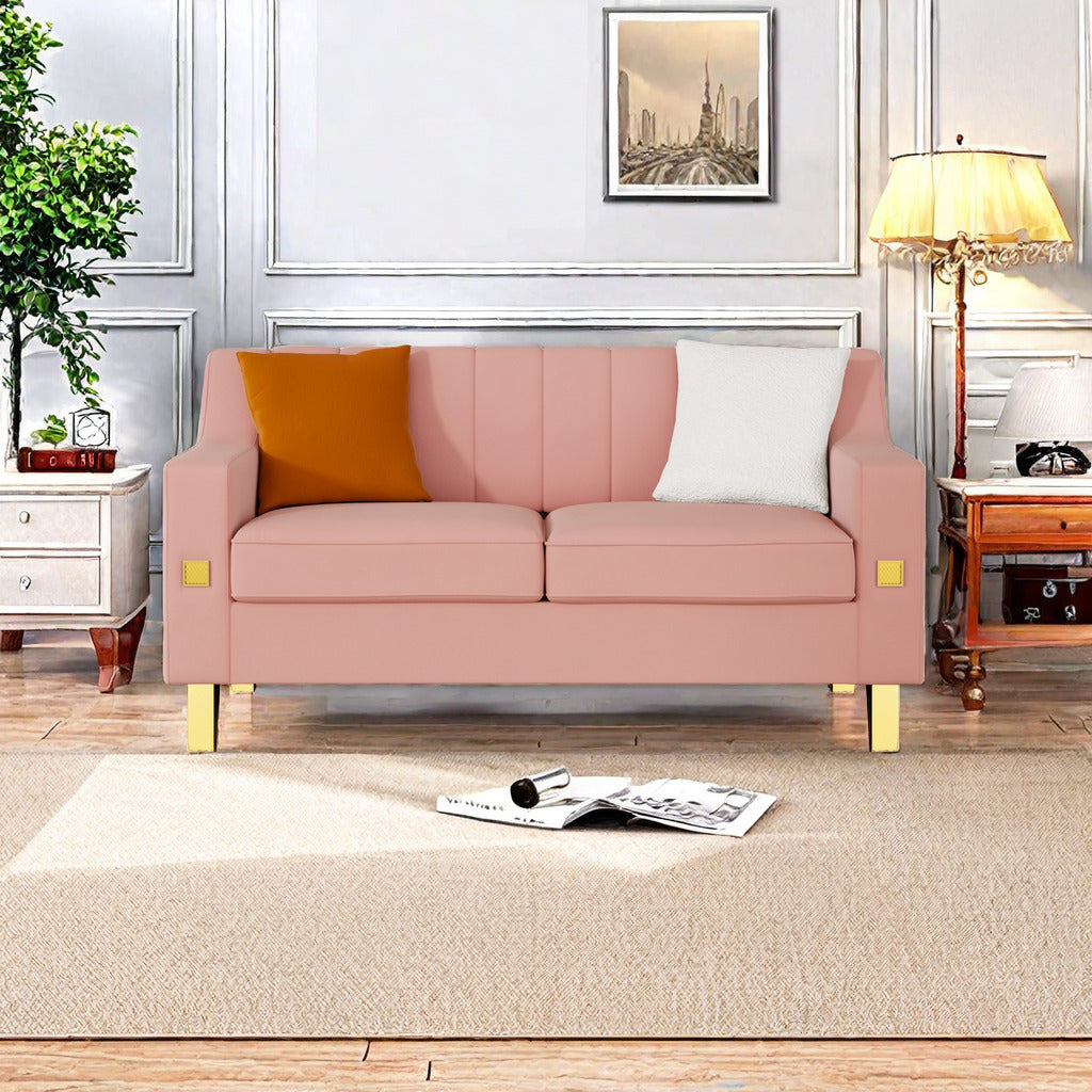 Fexa Velvet Loveseat Sofa - Pink