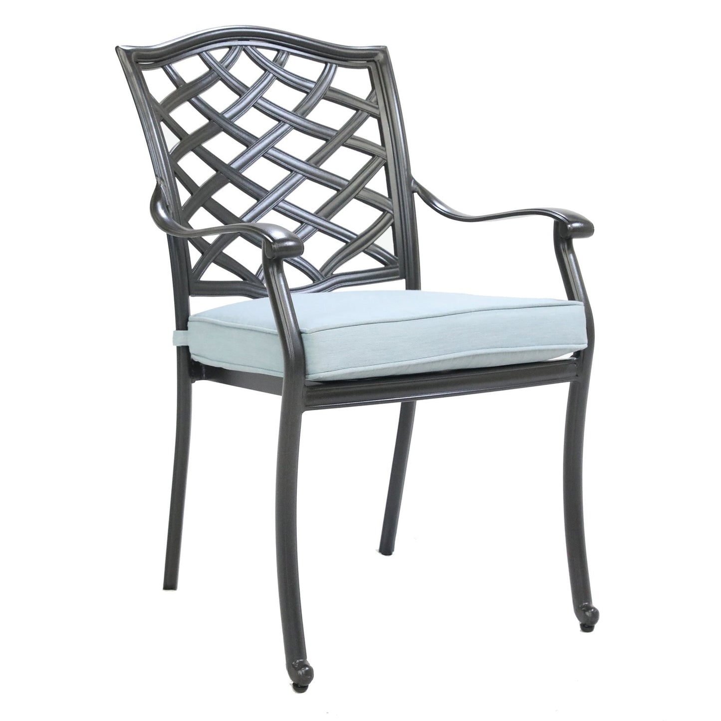 Rosita Patio Dining Arm Chair (Set of 2) - Light Blue