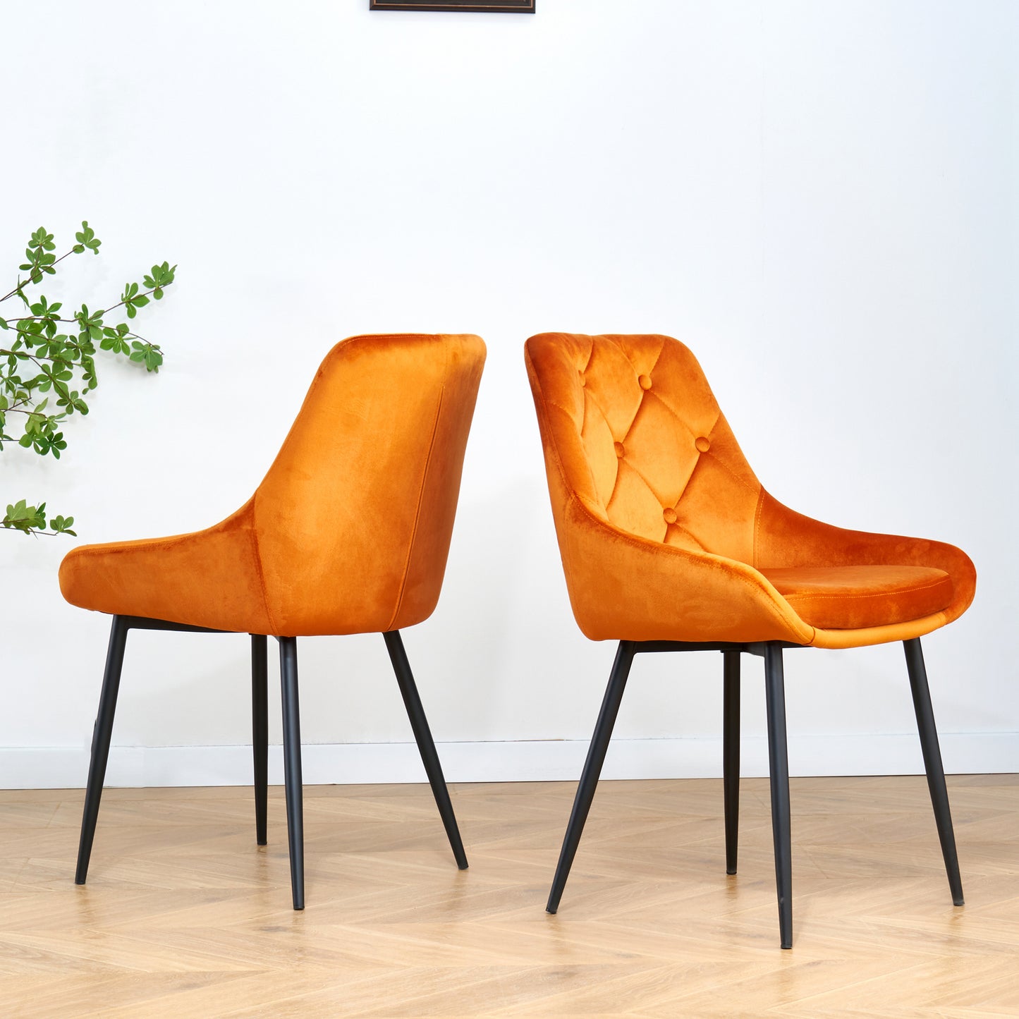 Sheron Velvet Dining Chairs (Set of 2) - Orange