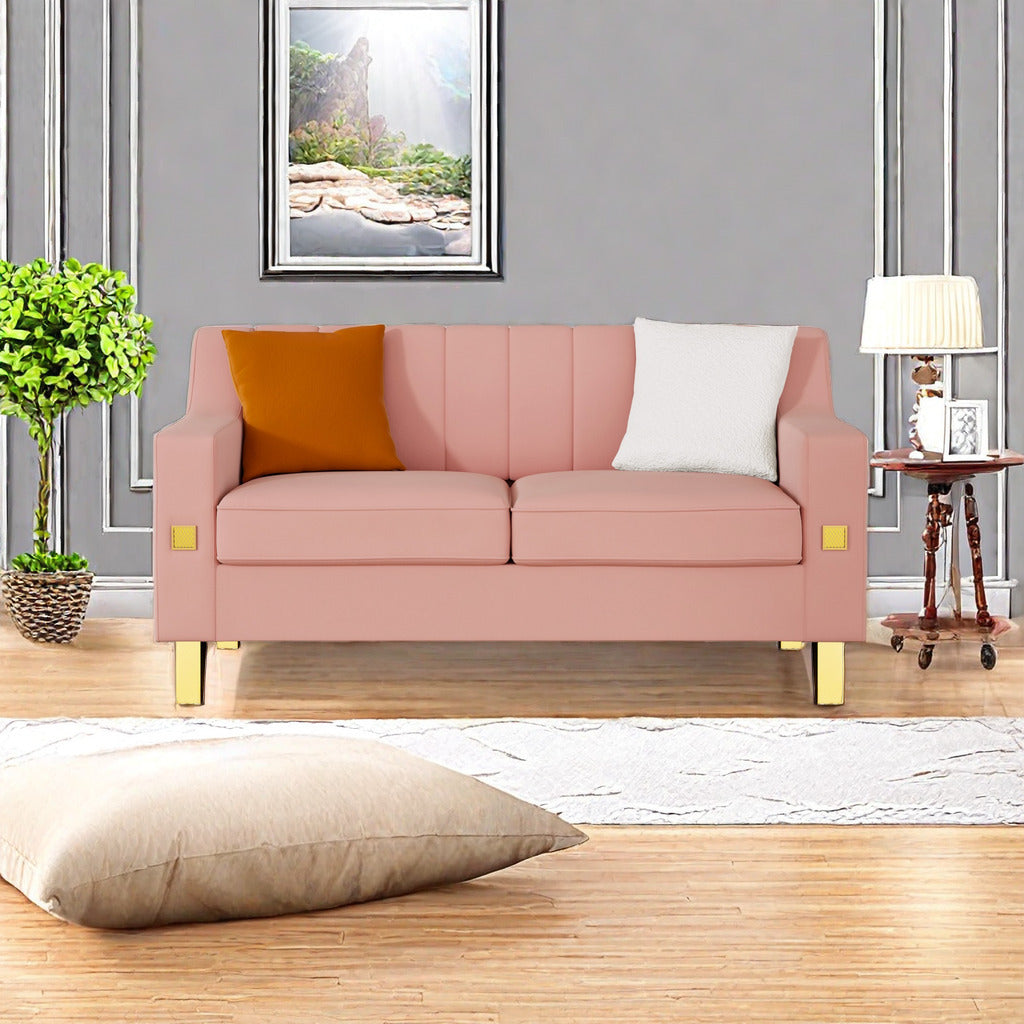 Fexa Velvet Loveseat Sofa - Pink