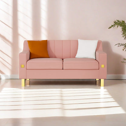 Fexa Velvet Loveseat Sofa - Pink