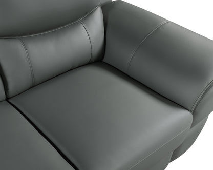 Harvey Genuine Leather Loveseat - Gray