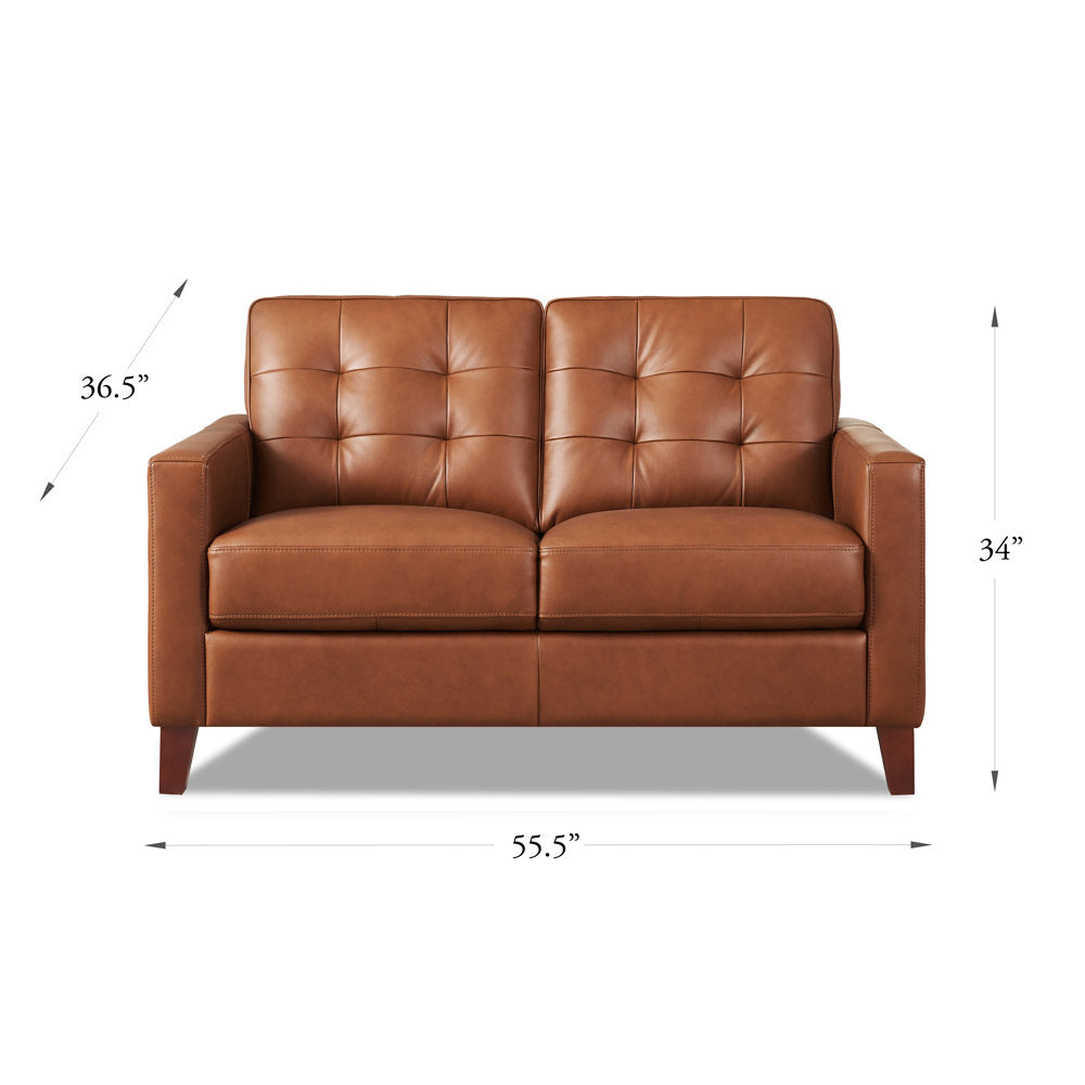 Aiden Leather Loveseat