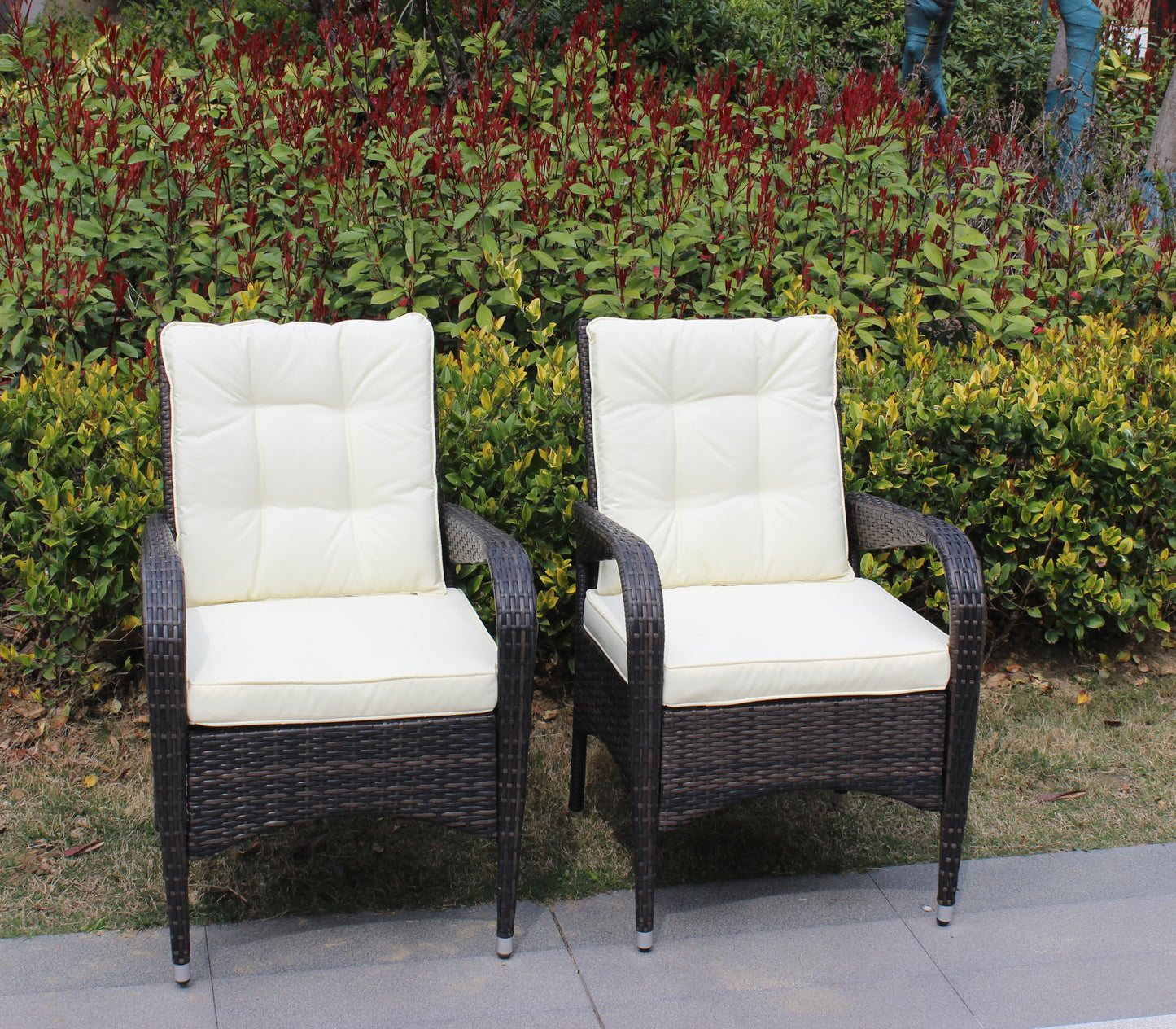 Johan Liberatore Dining Chairs with Cushions (Set of 2)