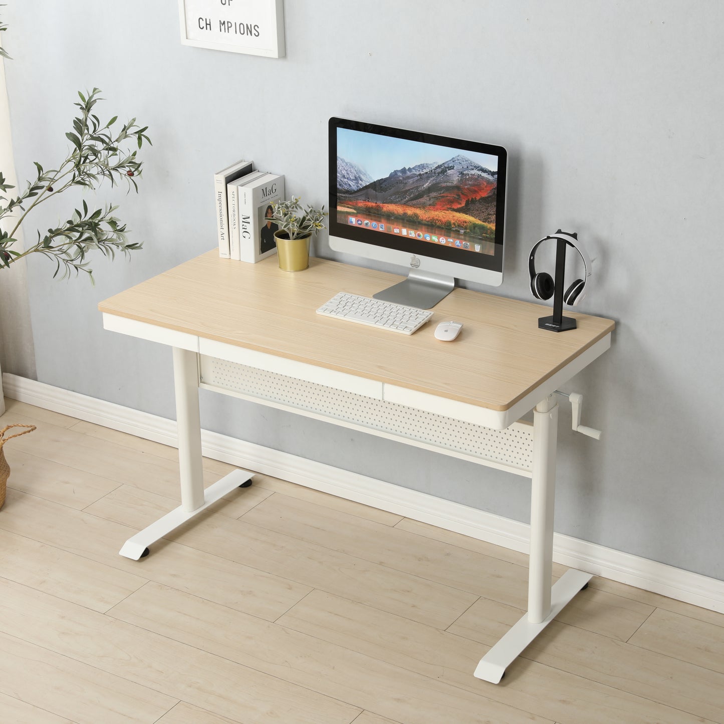 Flex Adjustable Height  Stand up Desk