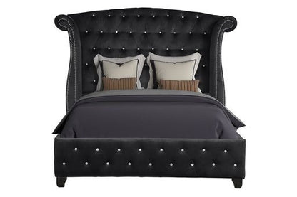 Sophia Queen Bed - Black