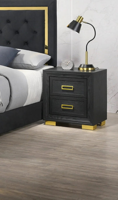 Mystic One Modern Glam Style 2-Drawer Nightstand - Black /Gold