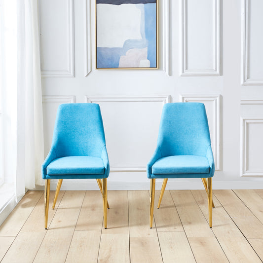 Dixon Fabric Dining Chairs (Set of 2) - Light Blue