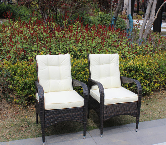 Johan Liberatore Dining Chairs with Cushions (Set of 2)