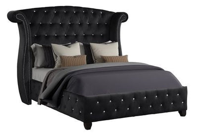 Sophia Queen Bed - Black