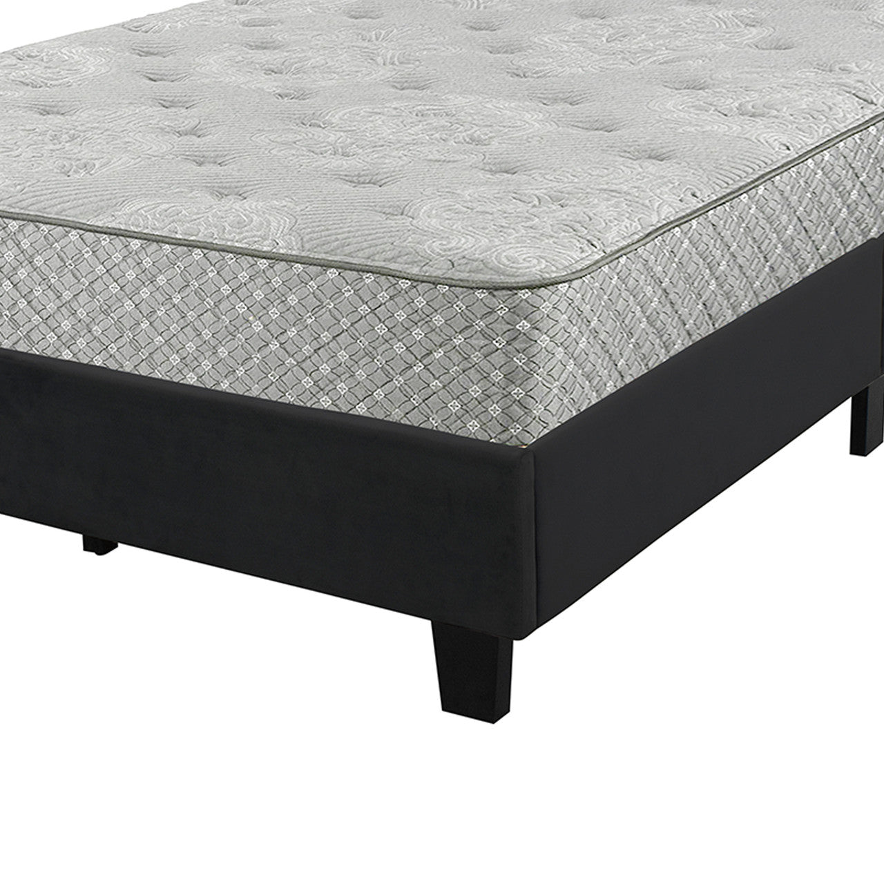 Go Green Woods Monica Velvet Upholstered Queen Platform Bed